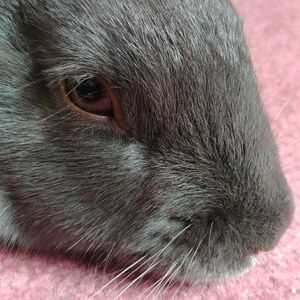 Meet your Posher, Kari